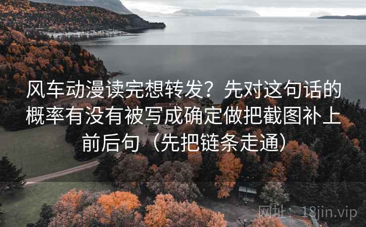 风车动漫读完想转发？先对这句话的概率有没有被写成确定做把截图补上前后句（先把链条走通）